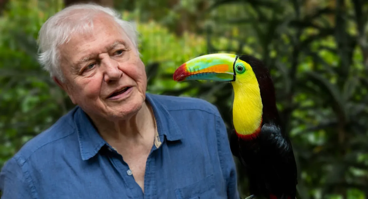 Attenborough's Life in Colour