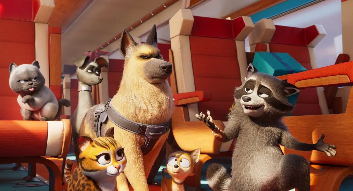 Pets on a Train
