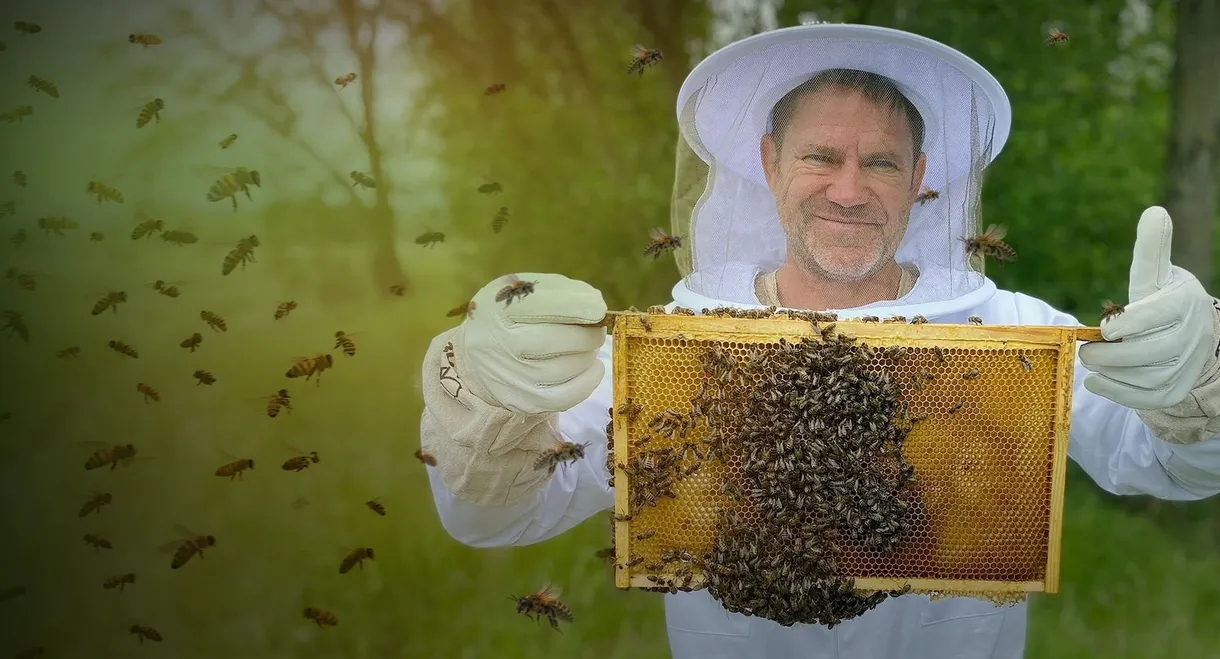 The Secret Life of Bees