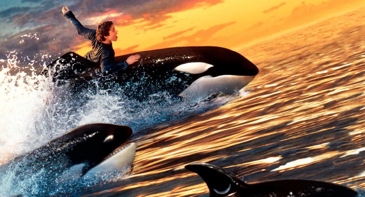 Free Willy 2: The Adventure Home