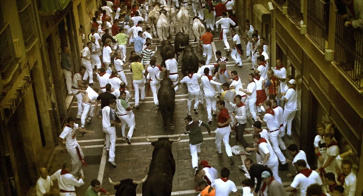 Encierro 3D: Bull Running in Pamplona