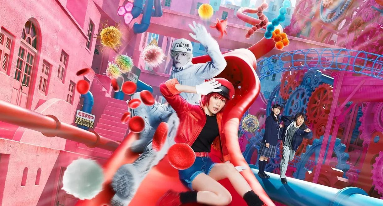 Cells at Work!