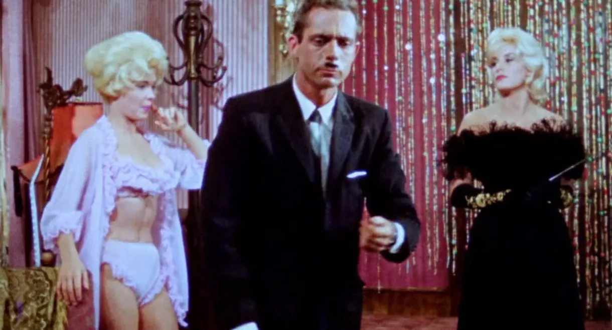 The Bellboy and the Playgirls