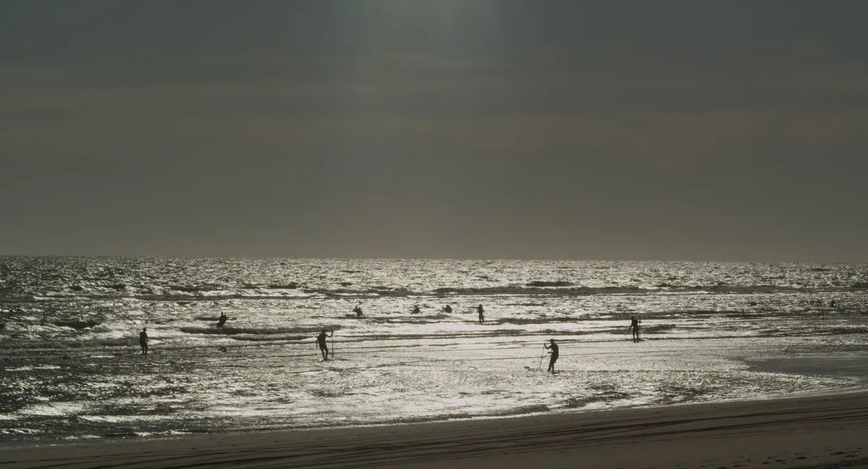 The Sea Stares at Us from Afar