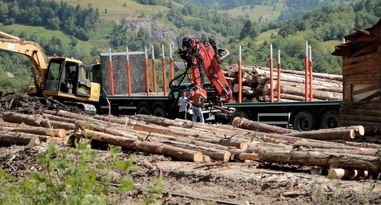 Wood