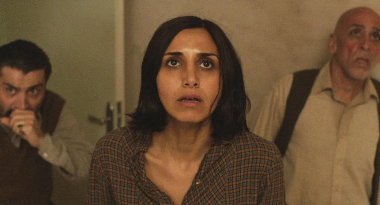 Under the Shadow