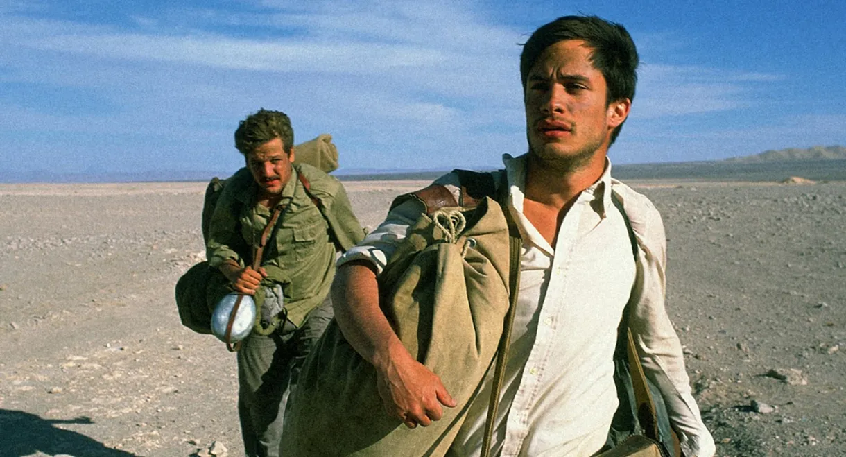 The Motorcycle Diaries