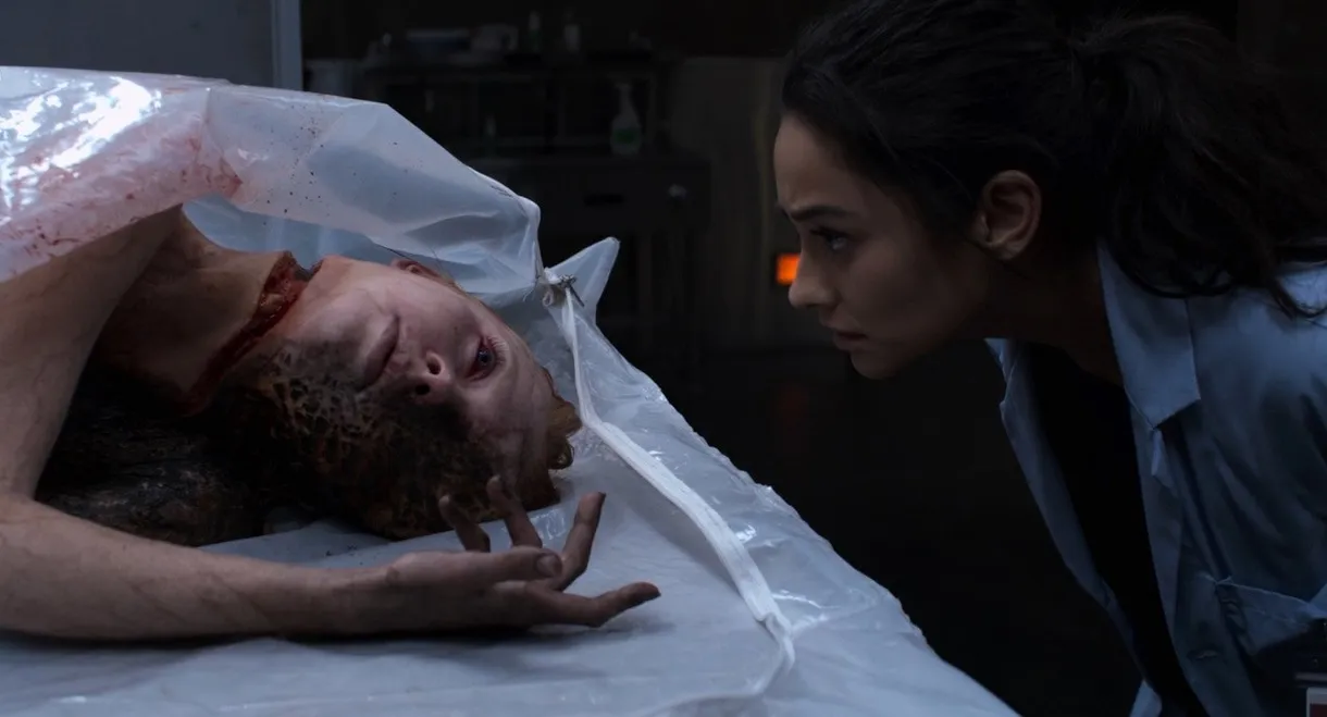 The Possession of Hannah Grace