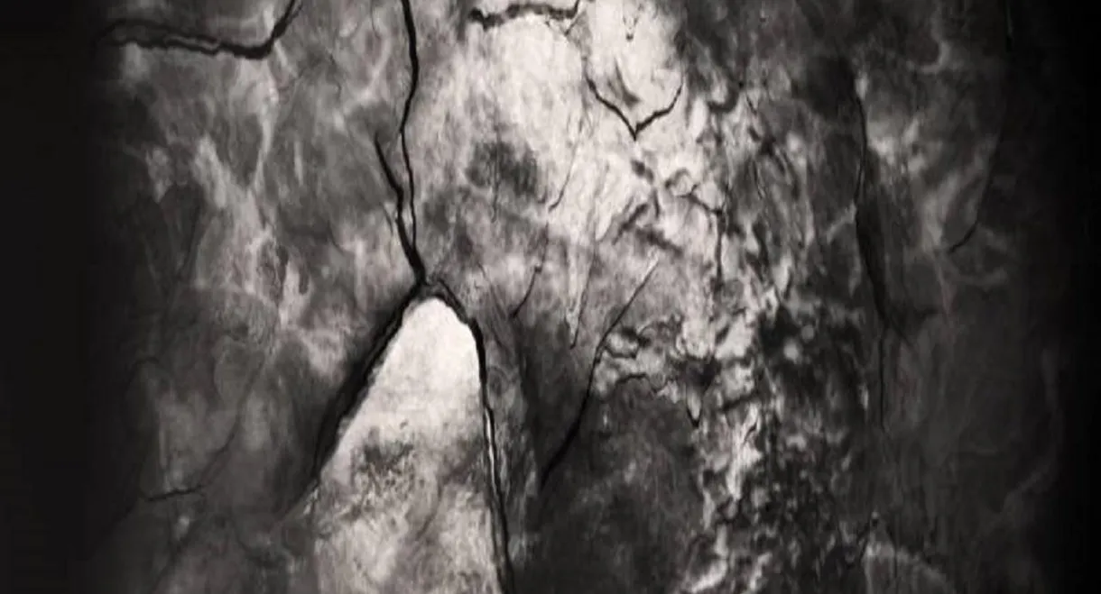 An Excavation of Us