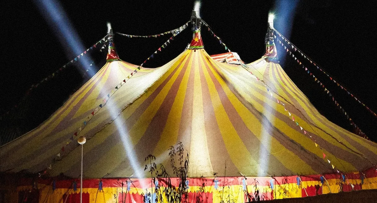 The Circus