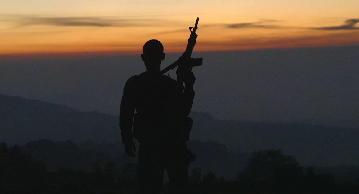 Cartel Land