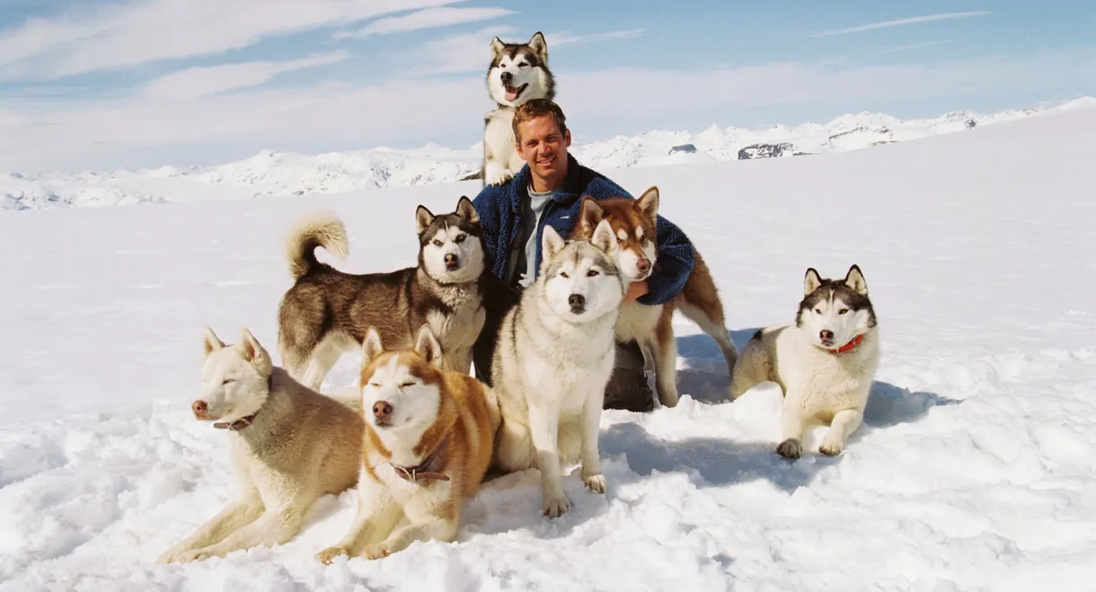 Eight Below