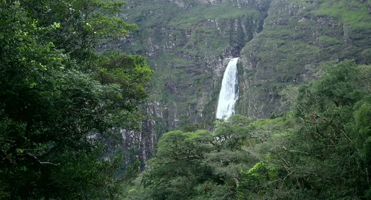 Os Naturalistas: Saint-Hilaire e a Serra da Canastra