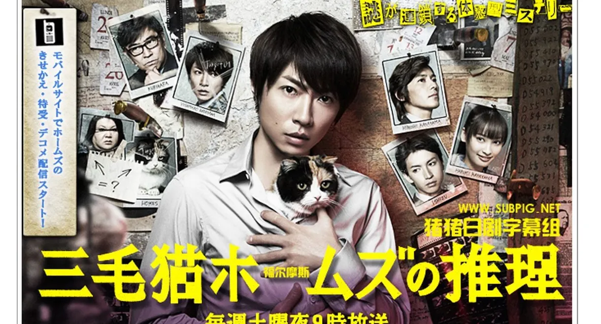 Mysteries of Detective Cat HOLMES