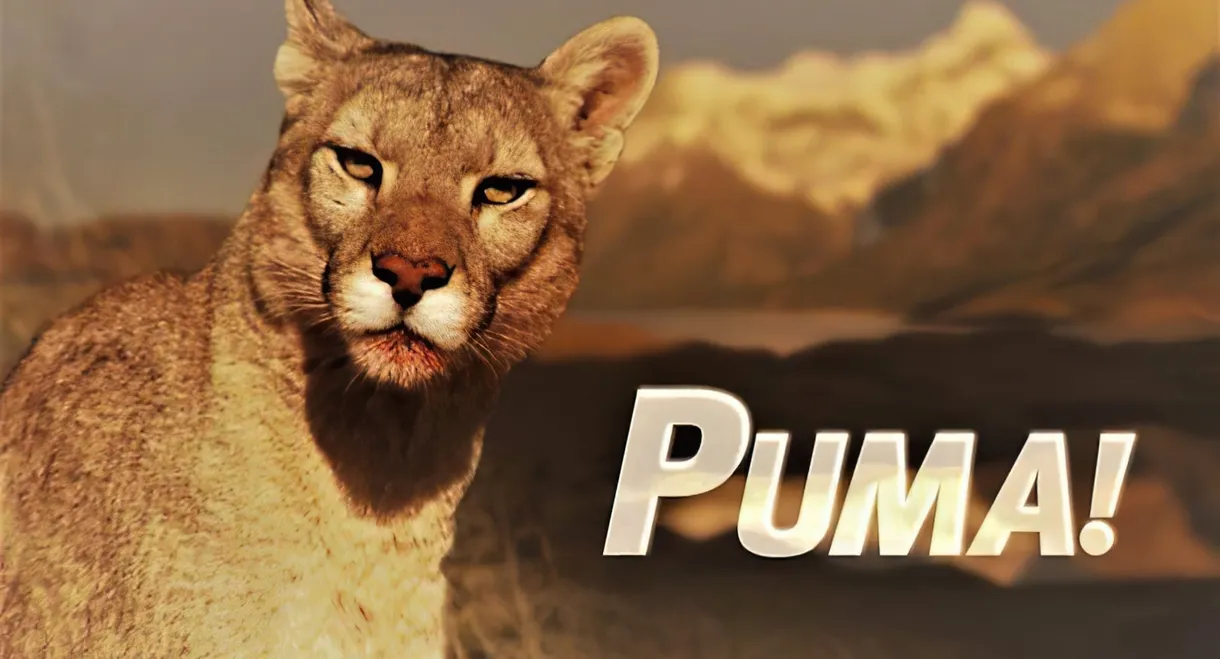 Puma!