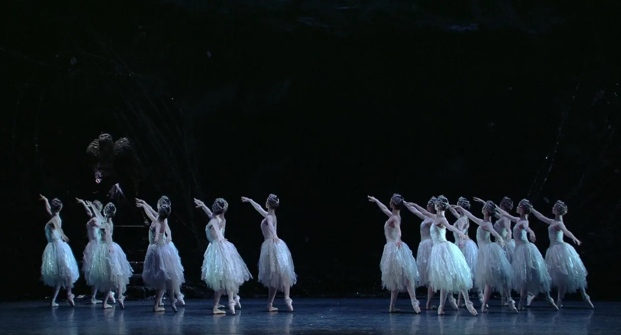 Swan Lake