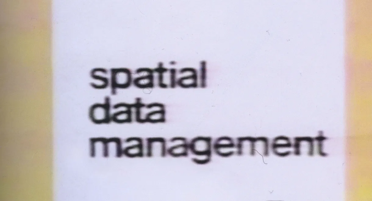 Spatial Data Management