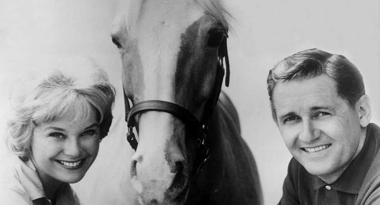 Mister Ed