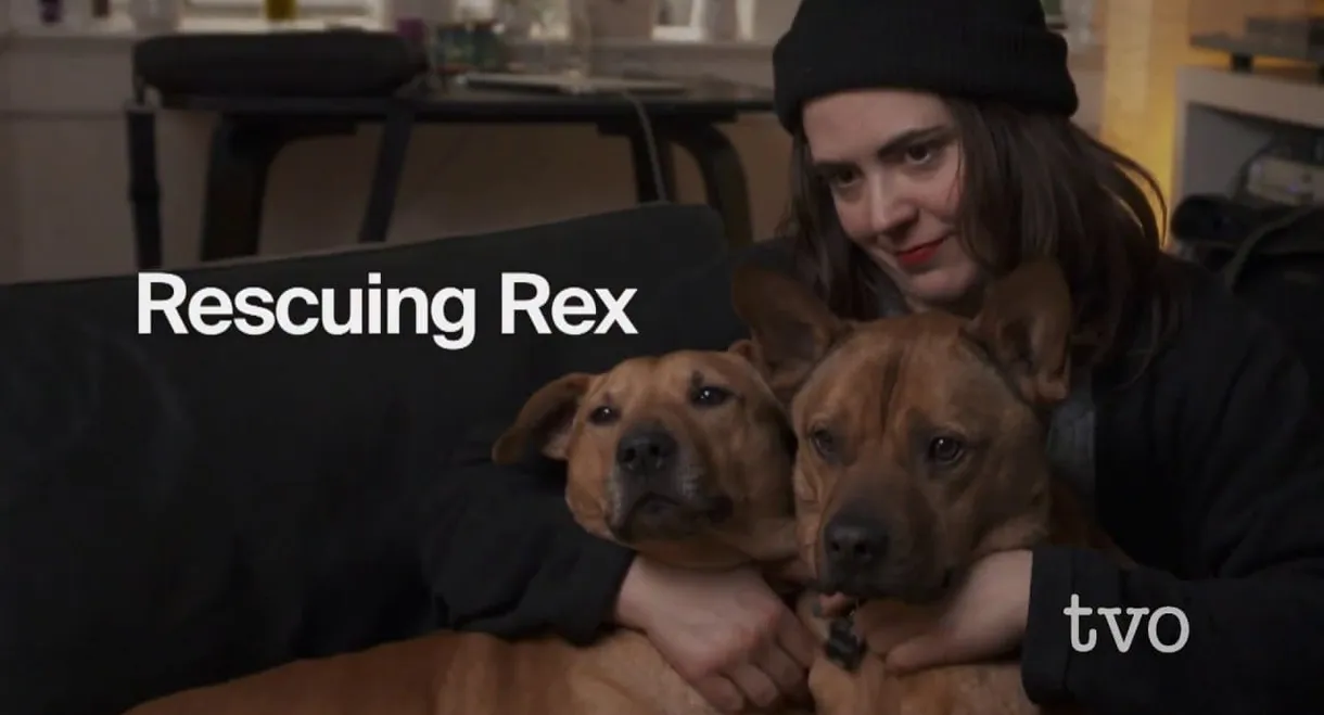 Rescuing Rex