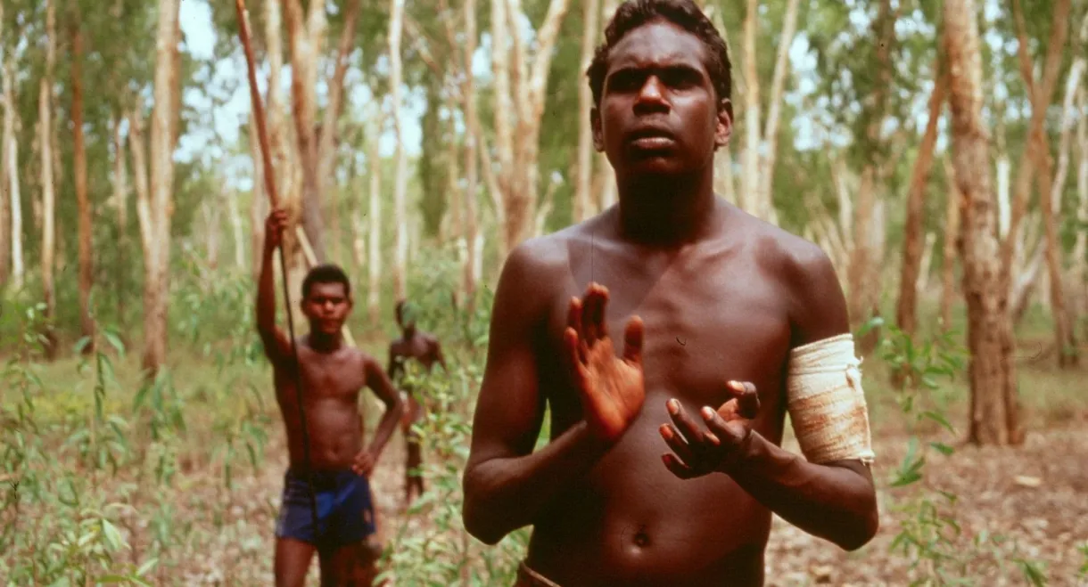 Yolngu Boy