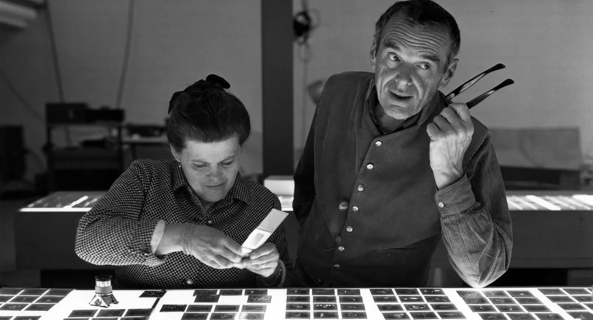 Eames: The Architect and the Painter