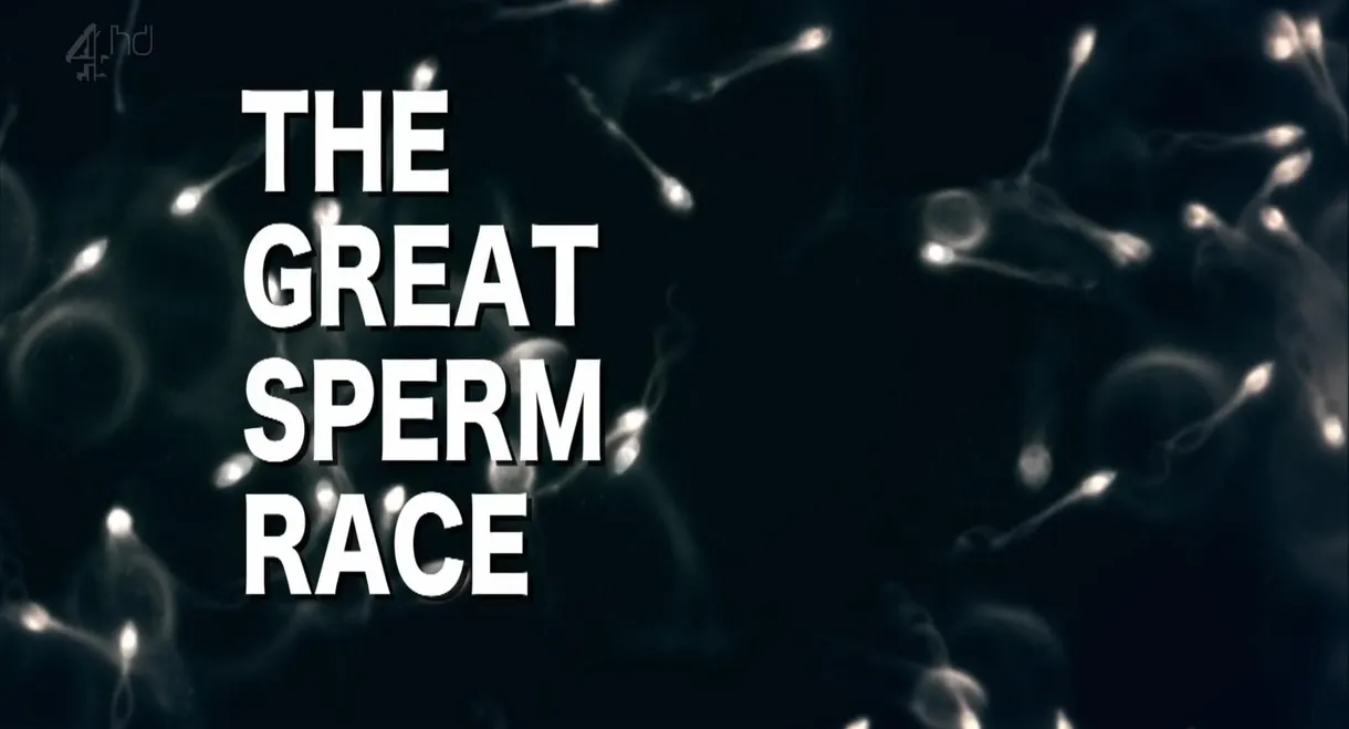 The Great Sperm Race