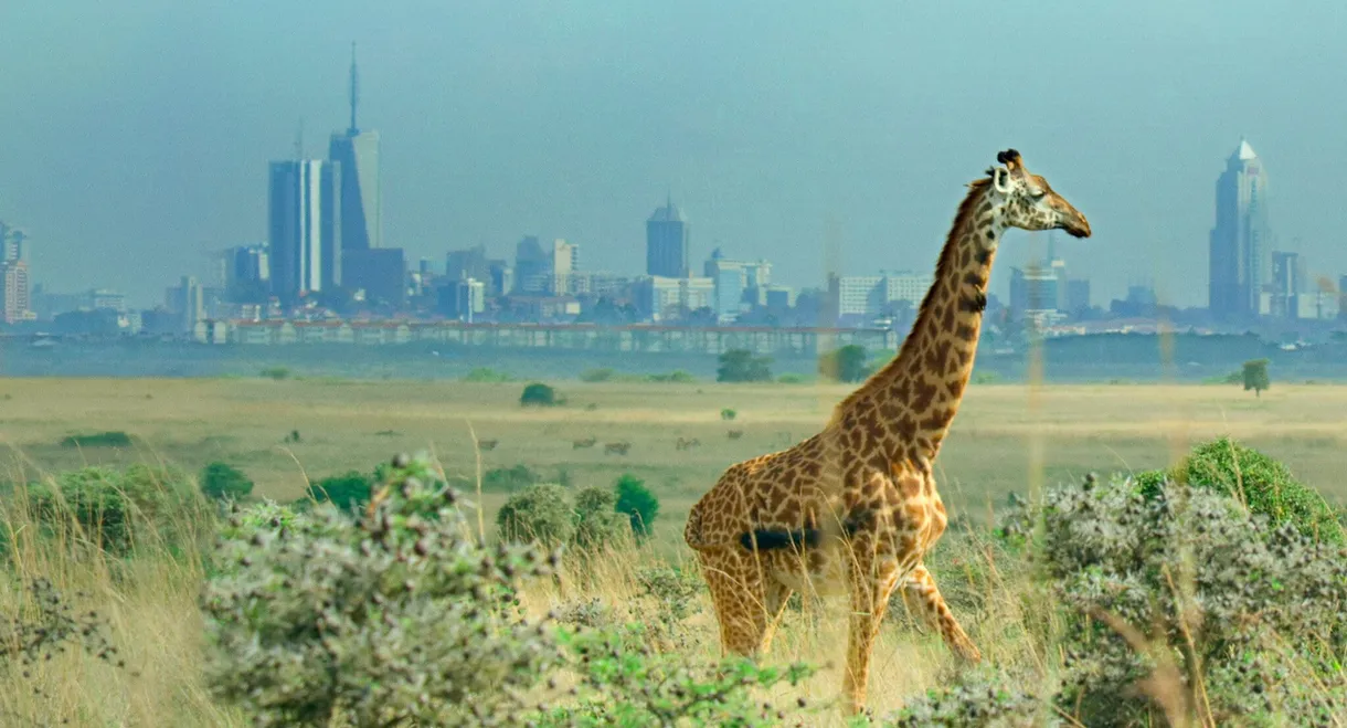 Breaking Boundaries: The Science of Our Planet