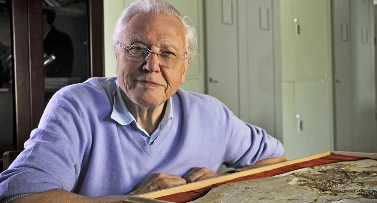 David Attenborough's Rise of Animals: Triumph of the Vertebrates