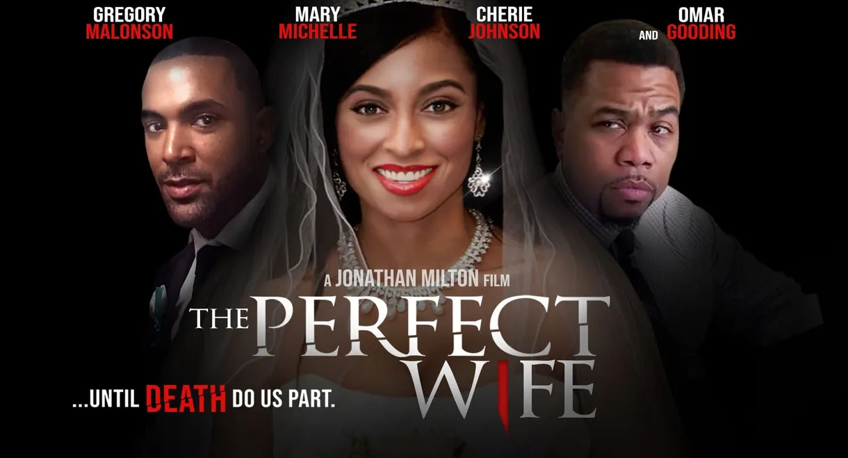 The Perfect Wife