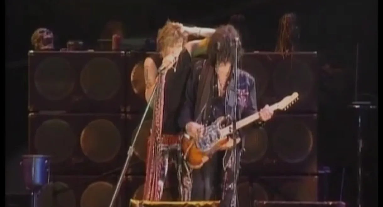 Aerosmith - Live in Japan