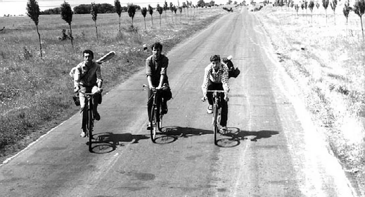 Cyclists in Love