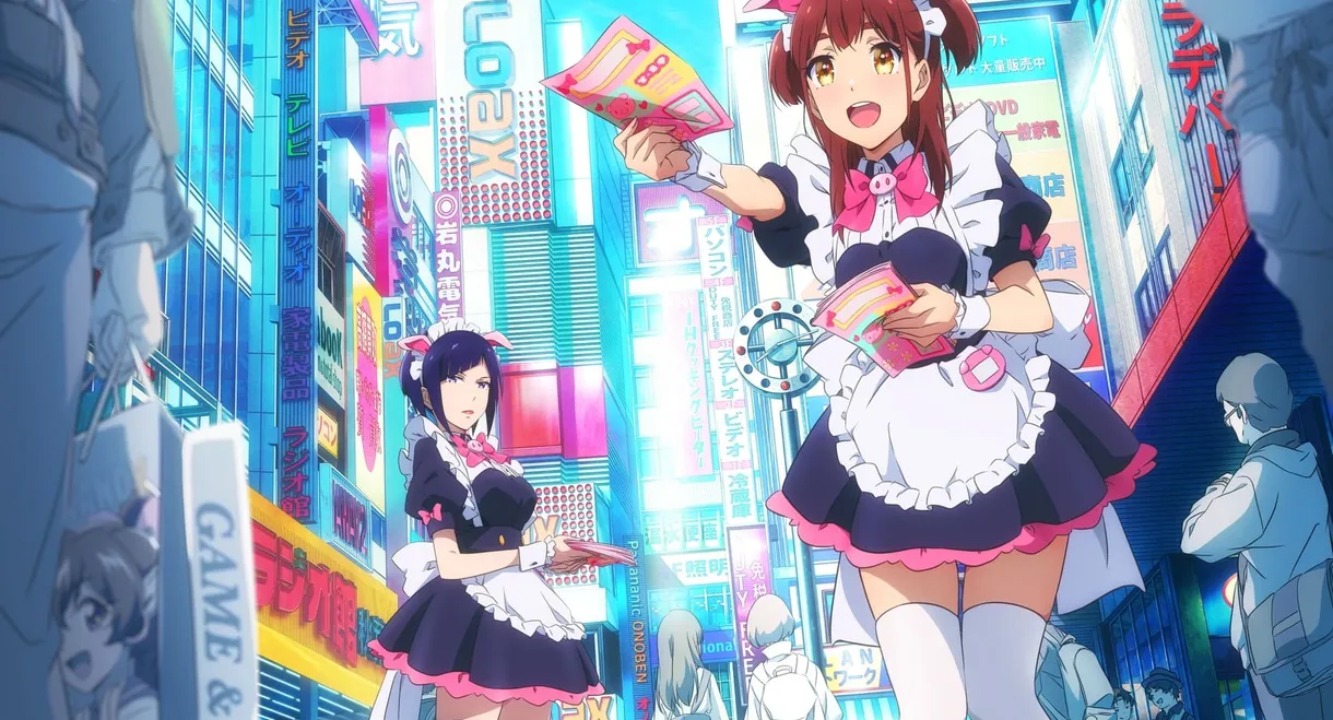 Akiba Maid War