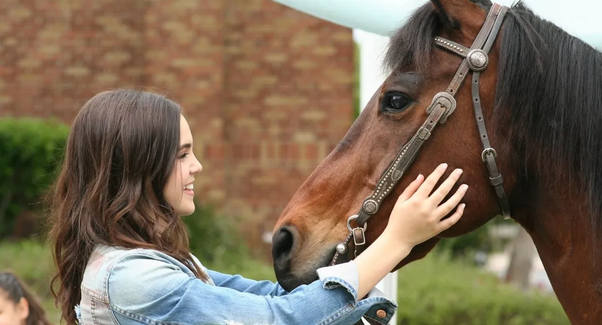 A Cowgirl's Story