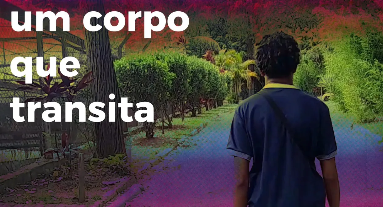Um Corpo que Transita