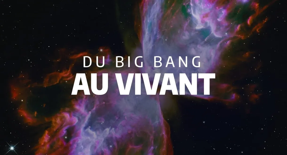 Du Big Bang au vivant