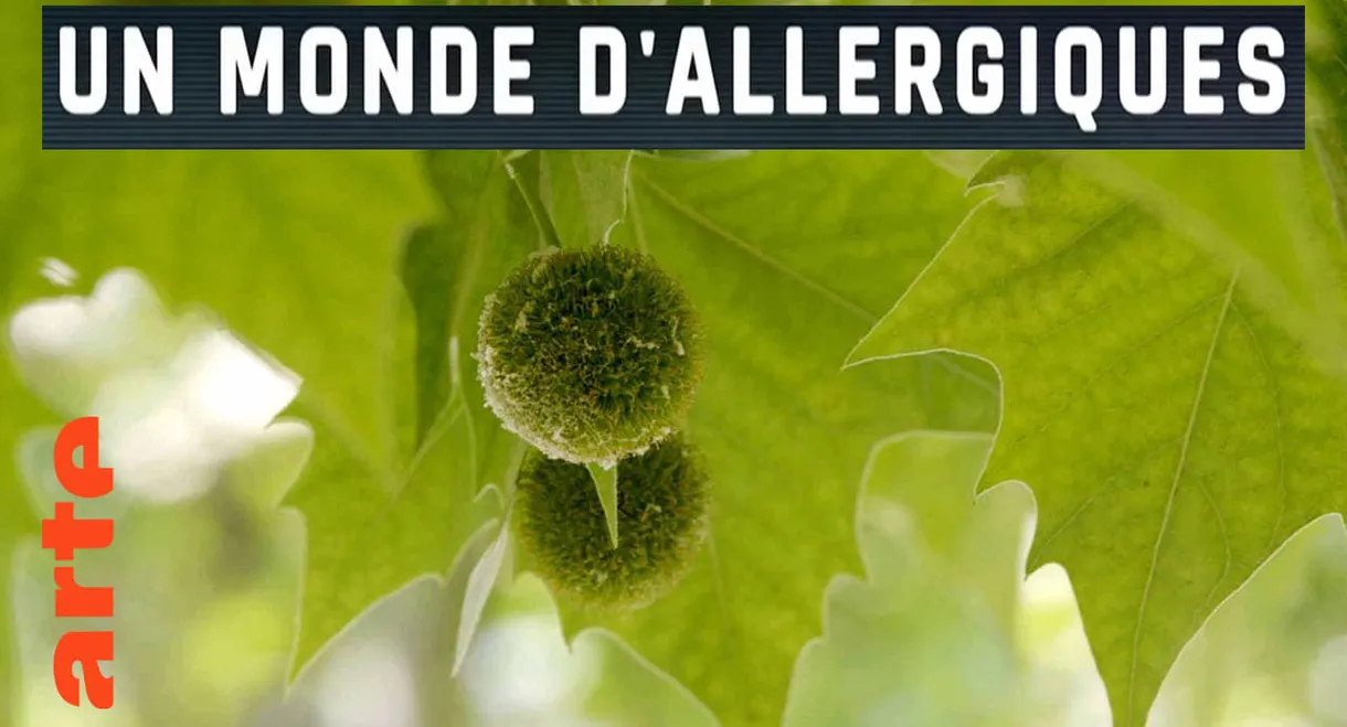 Un monde d'allergiques