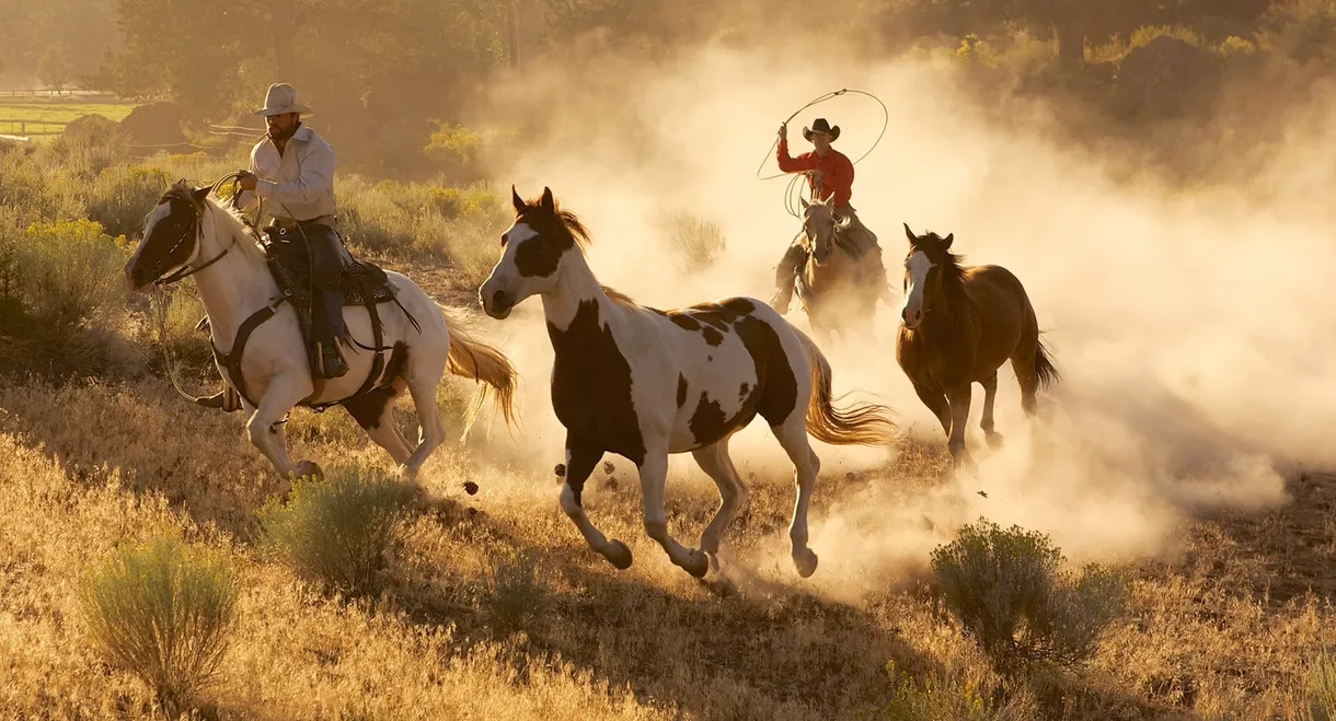 Wild West: America's Great Frontier