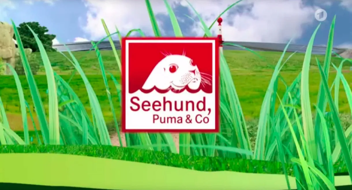 Seehund, Puma & Co.