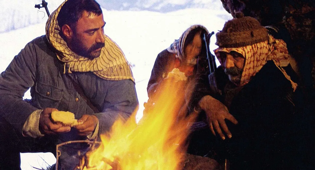Işıklar Sönmesin