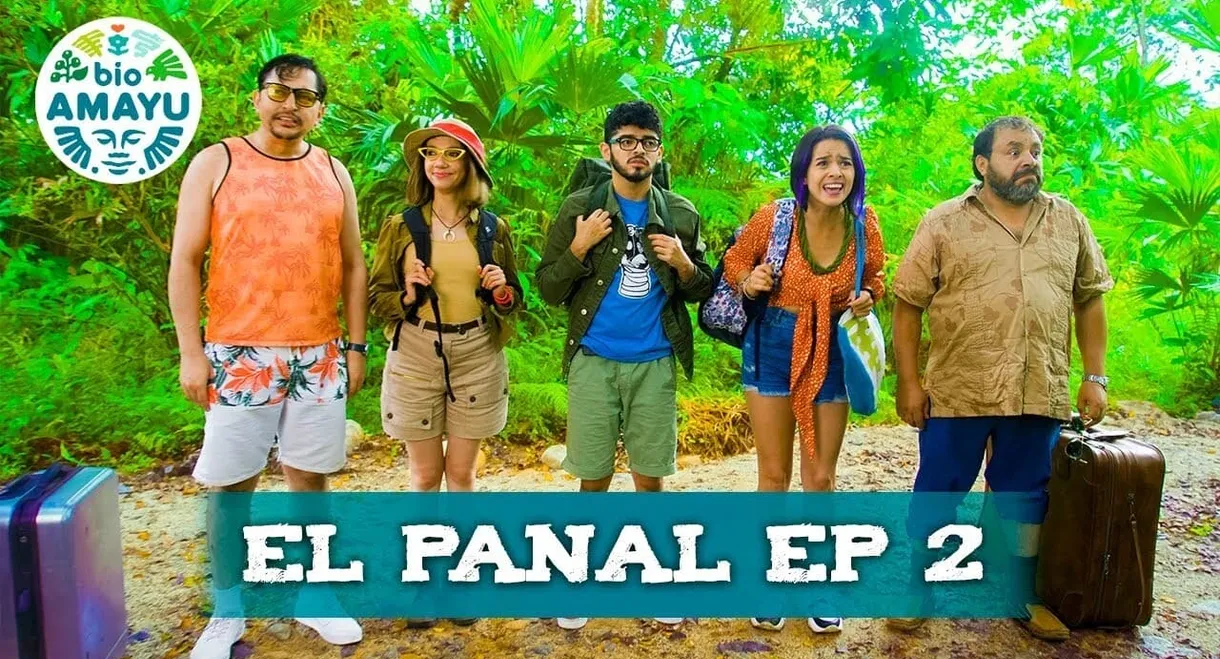 El Panal | BIO AMAYU