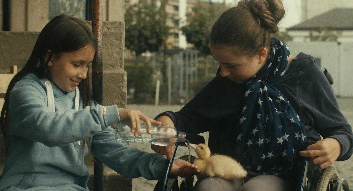 Birds of Passage