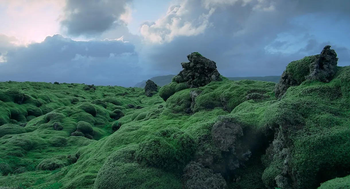 Voyage of Time: The IMAX Experience