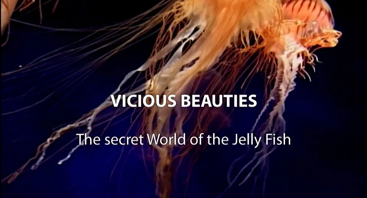 Vicious Beauties: The Secret World of Jellyfish