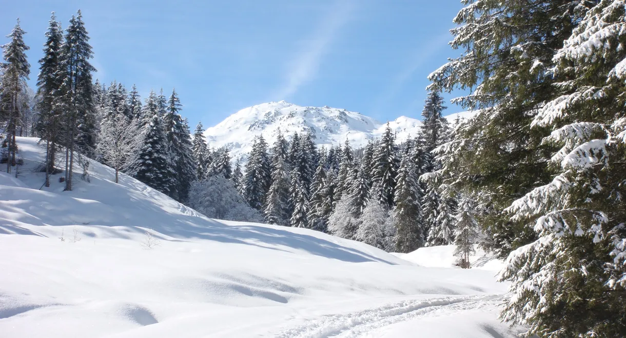 Weißblaue Wintergeschichten