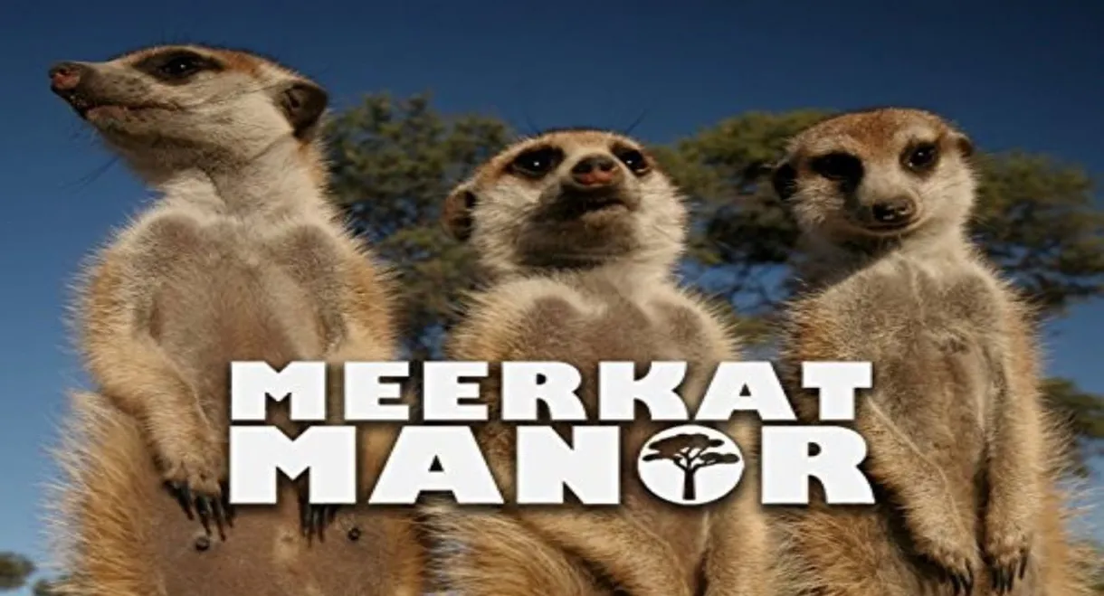 Meerkat Manor