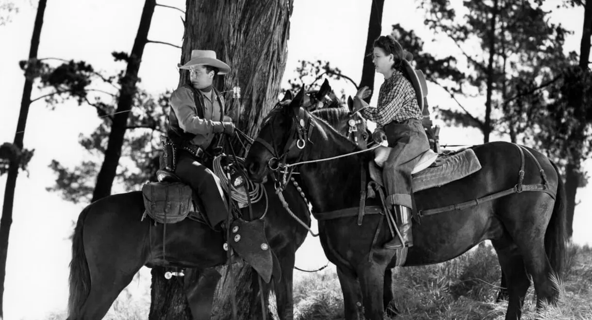 Cyclone on Horseback