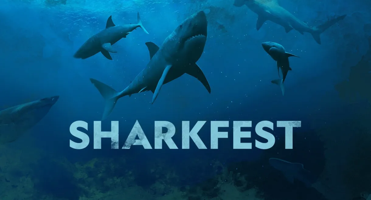 Sharkfest