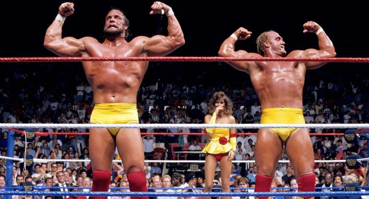 WWE SummerSlam 1988