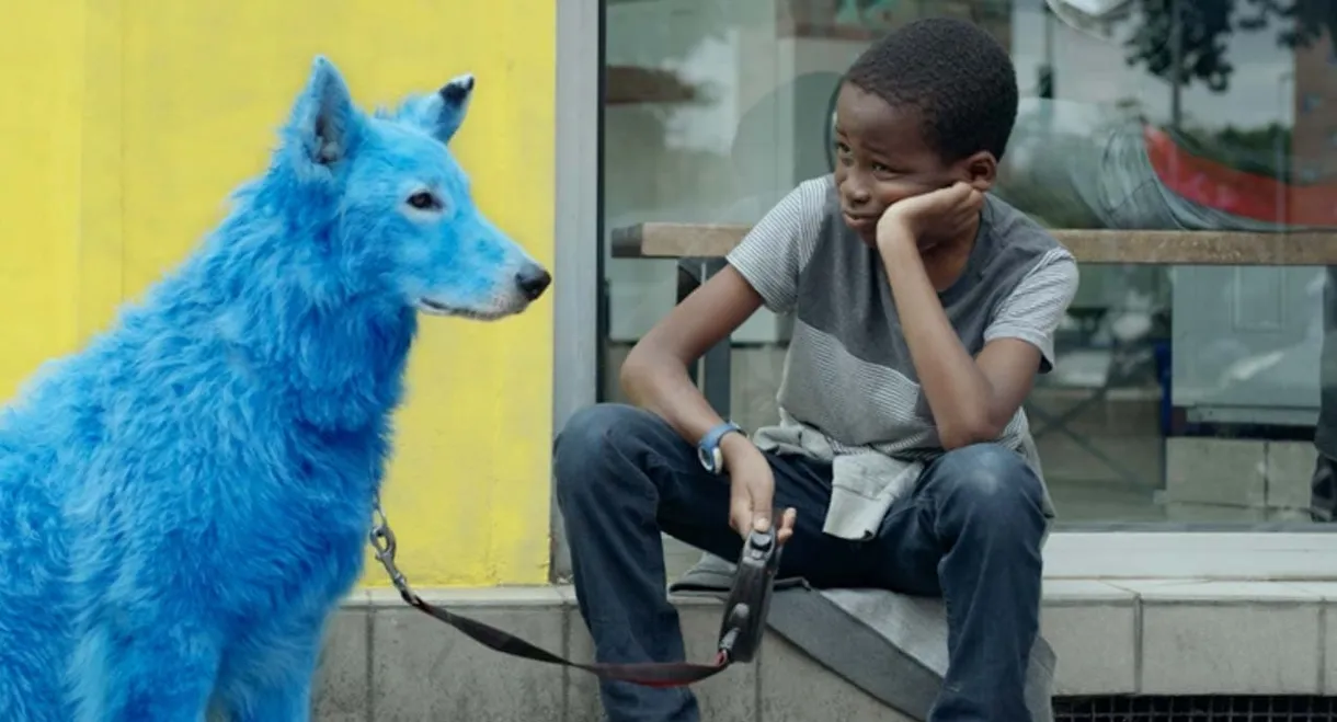 Blue Dog