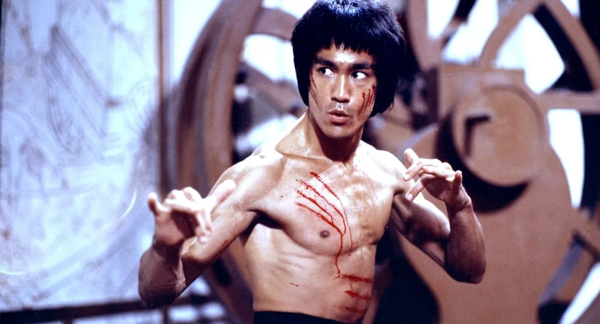 I Am Bruce Lee